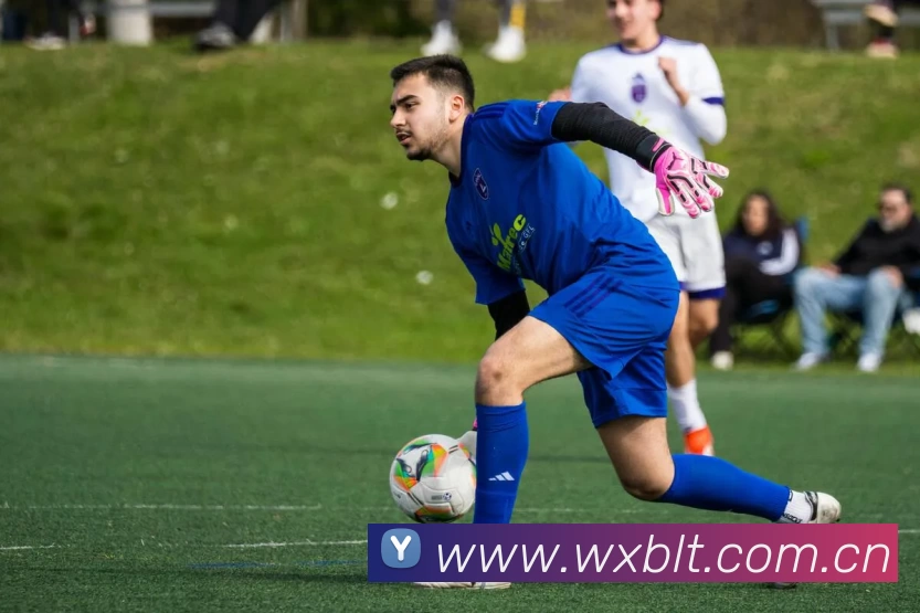 多媒体互动体验